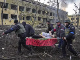 World Press Photo