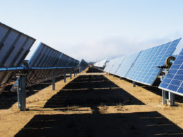 Meta_Avangrid_energia_renovable