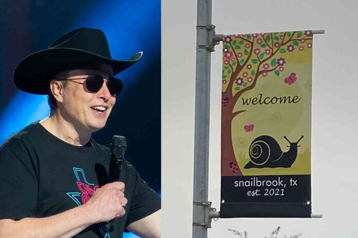 Snailbrook_Elon_Musk