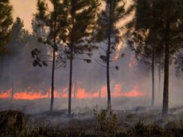 Incendio_cuba