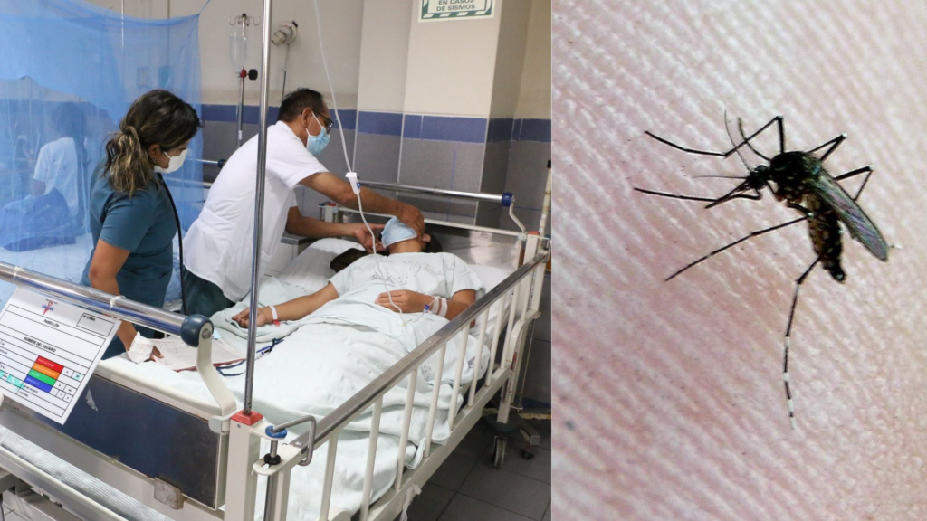 Los contagios por dengue en Perú crecen sin control en todas las regiones del país