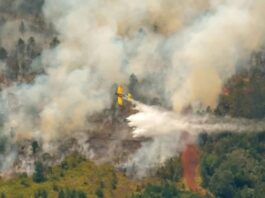 Cuba_incendio_Holguín