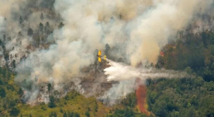 Cuba_incendio_Holguín